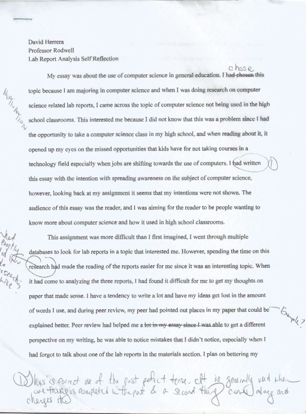 reflection-essay-david-herrera-s-portfolio